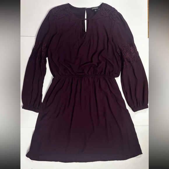 314. Express Deep Purple Lace Long Sleeve Dress - Picture 3 of 3